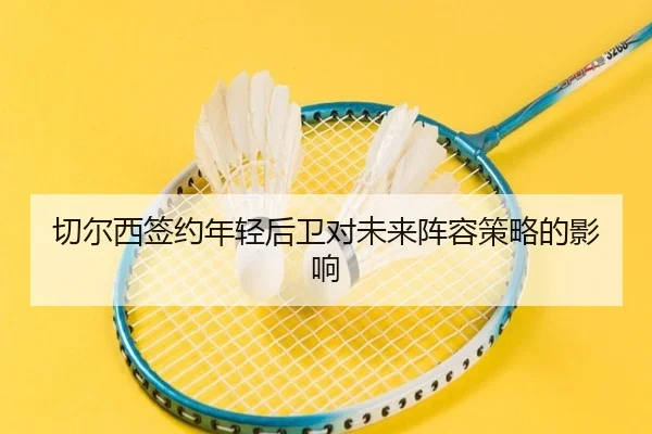 切尔西签约年轻后卫对未来阵容策略的影响